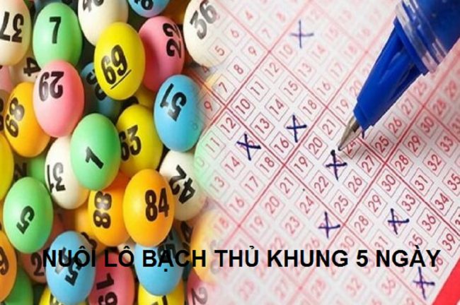 nuôi lô bạch thủ khung 5 ngày